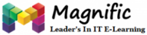 magnific logo.png