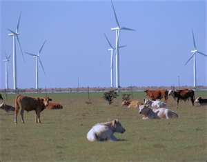 wind farm.jpg