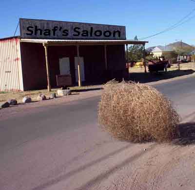 tumbleweed_ghost_town copy.jpg